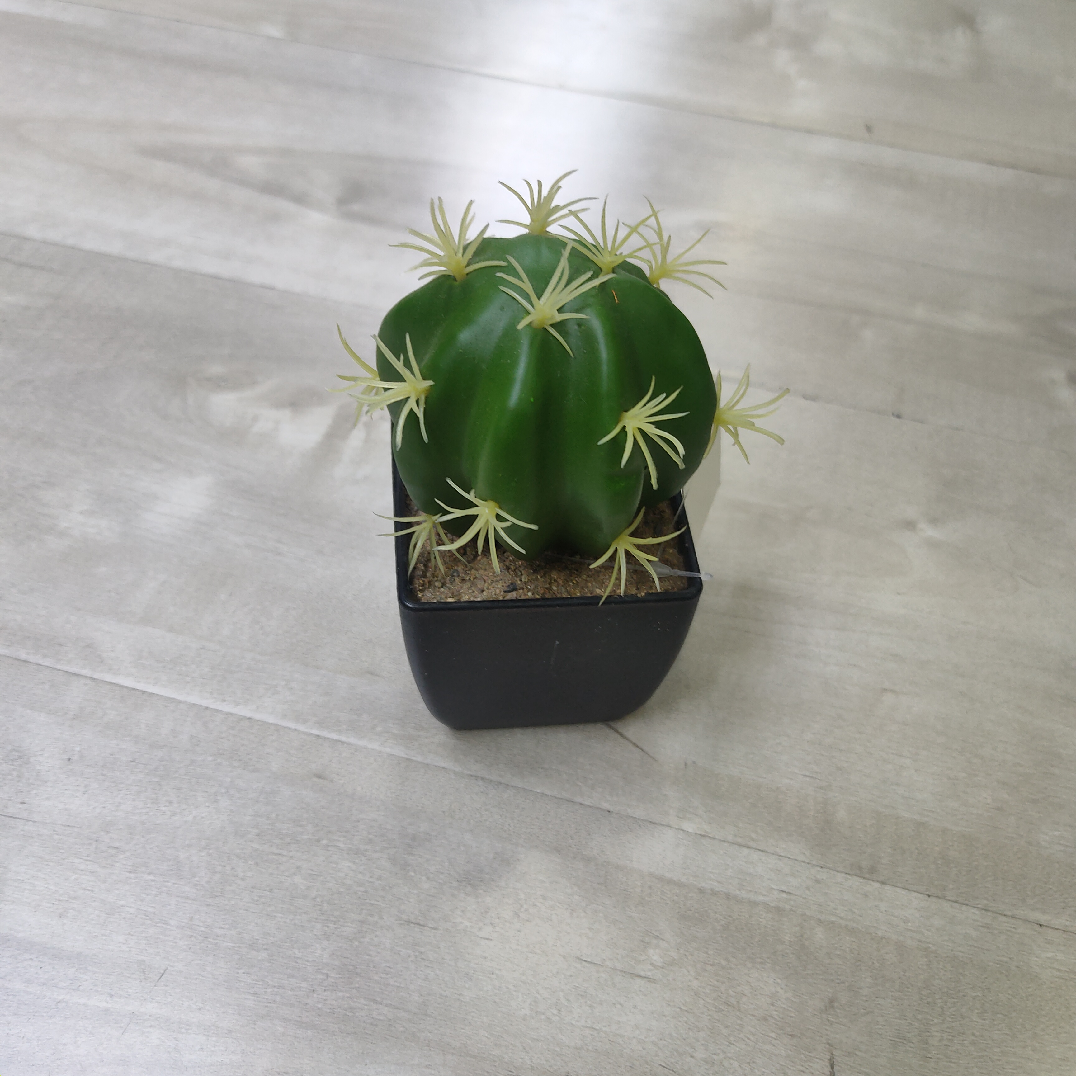Simulated potted plant prickly pear makes indoor space more green and healthy thumbnail