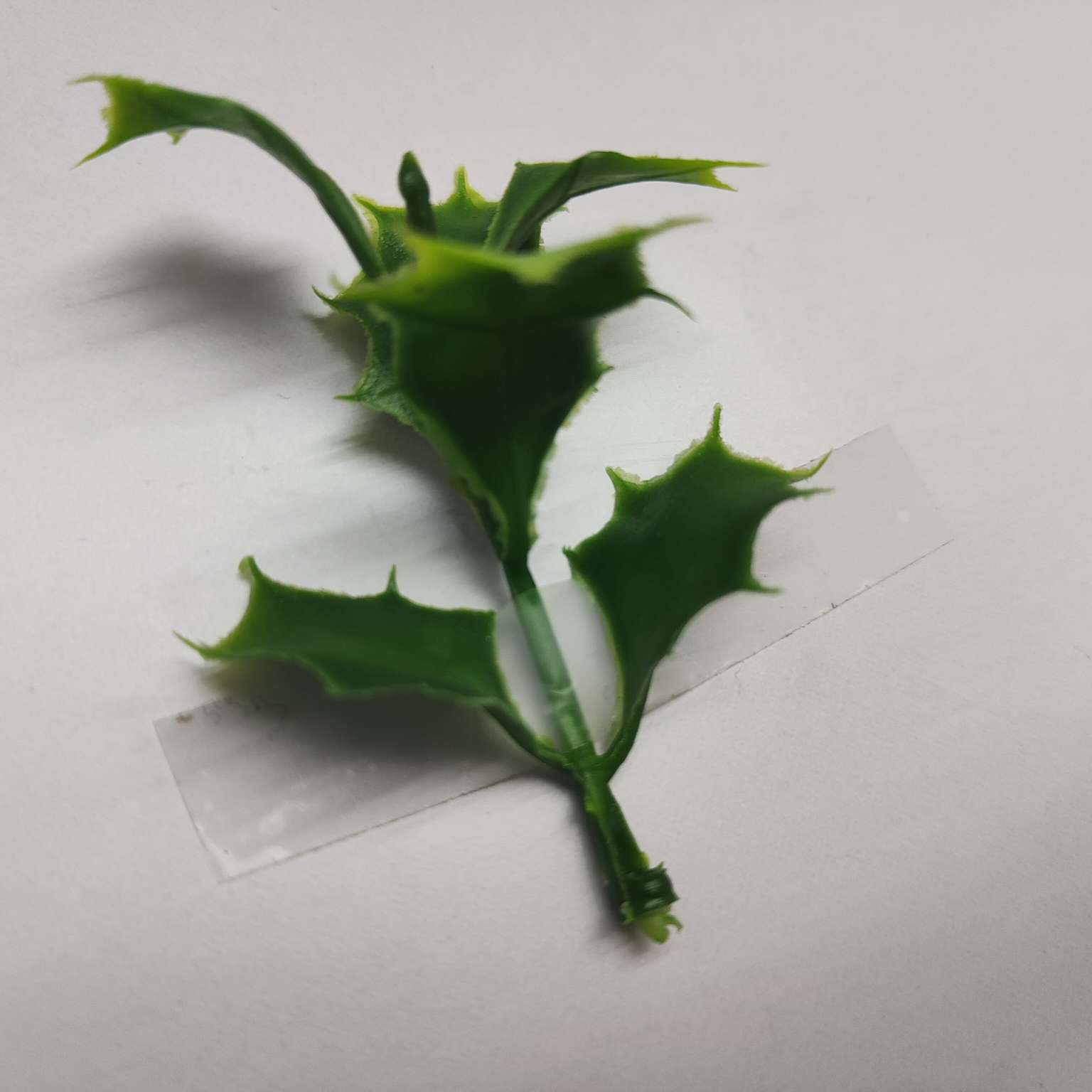 Simulated green plants, simulated plant ornaments, plastic aquatic plants, simulated garden decorations 090 Application Scenario