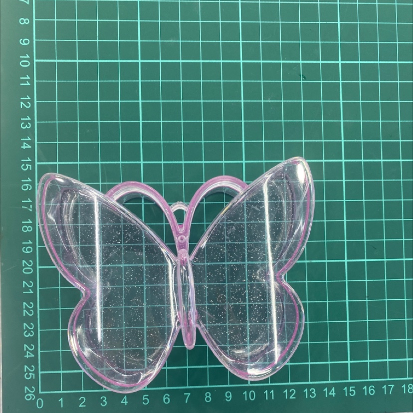 Circle box butterfly