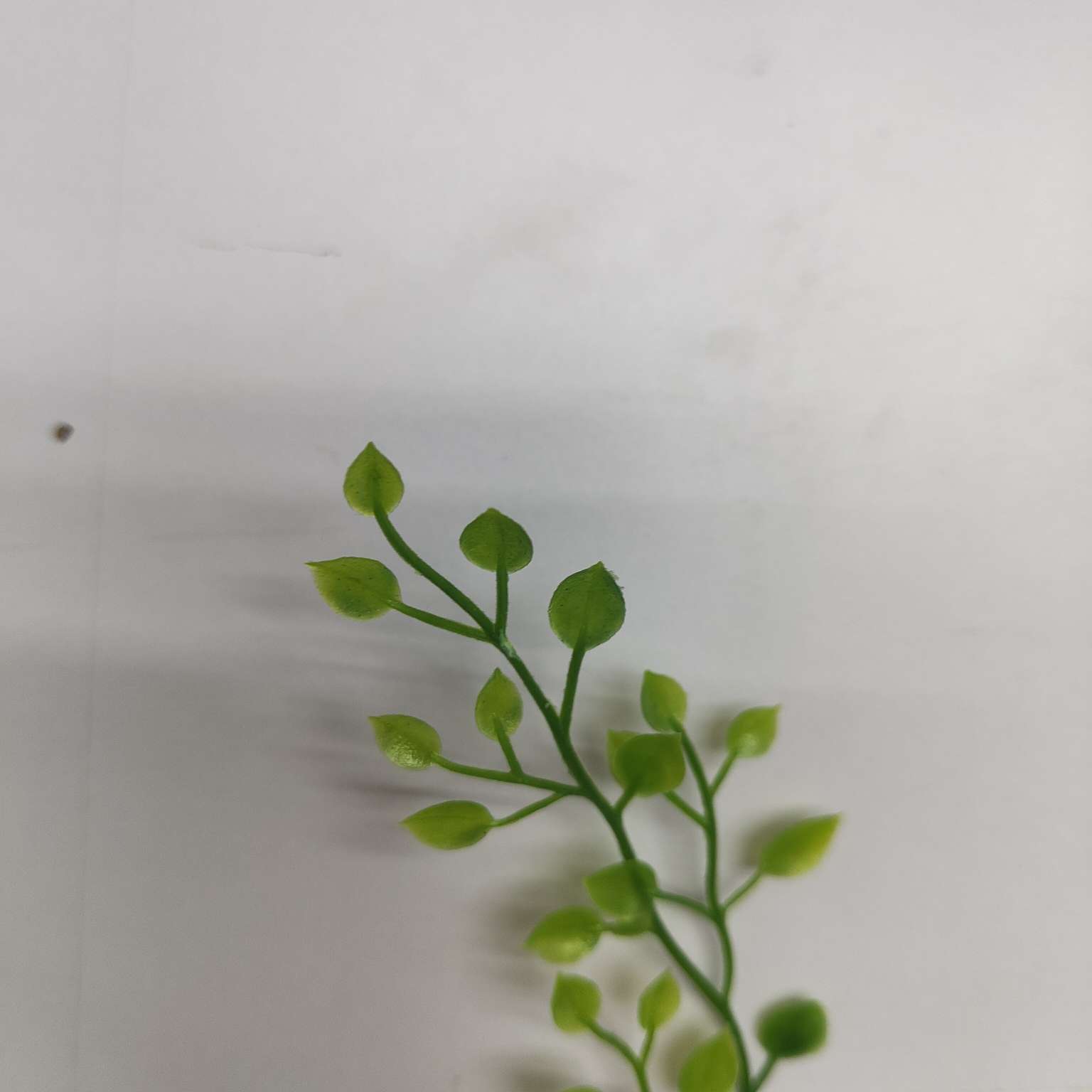 Plastic aquatic plant accessories, green plants, flower decorations, floral art, wedding mall ornaments details Picture