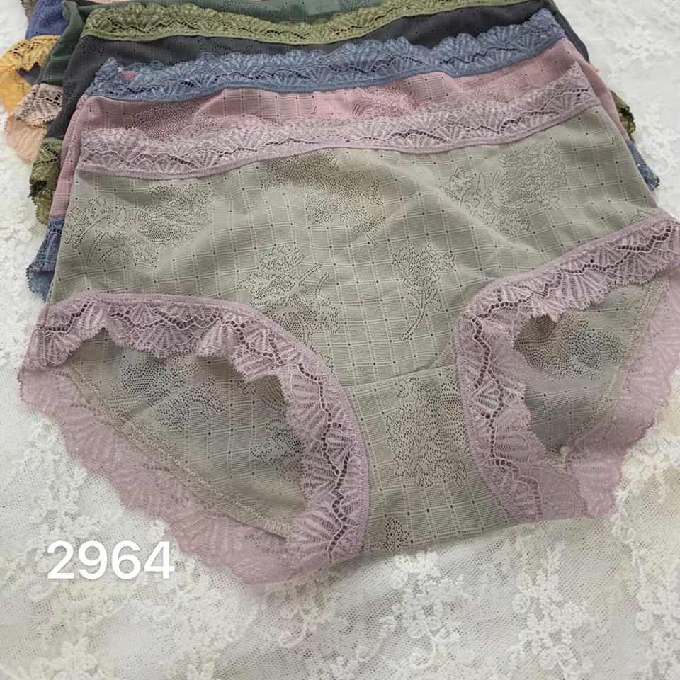 2964 sexy panties