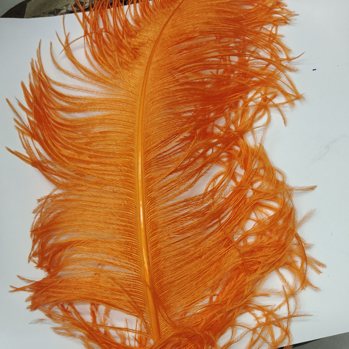 Ostrich feathers 55-60 cm orange