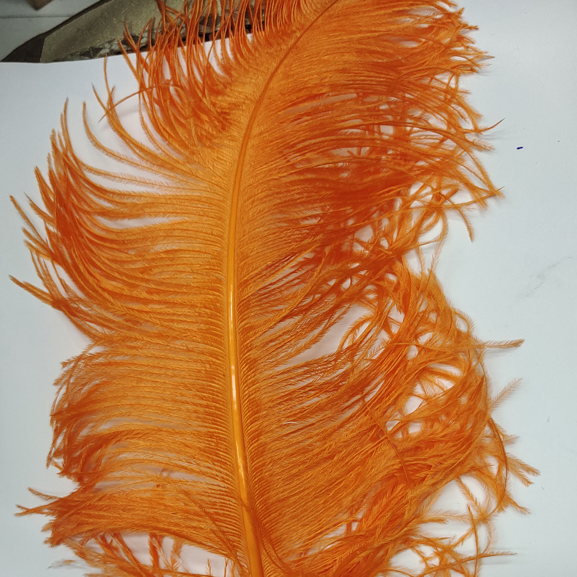 Ostrich feathers 60-65 cm orange