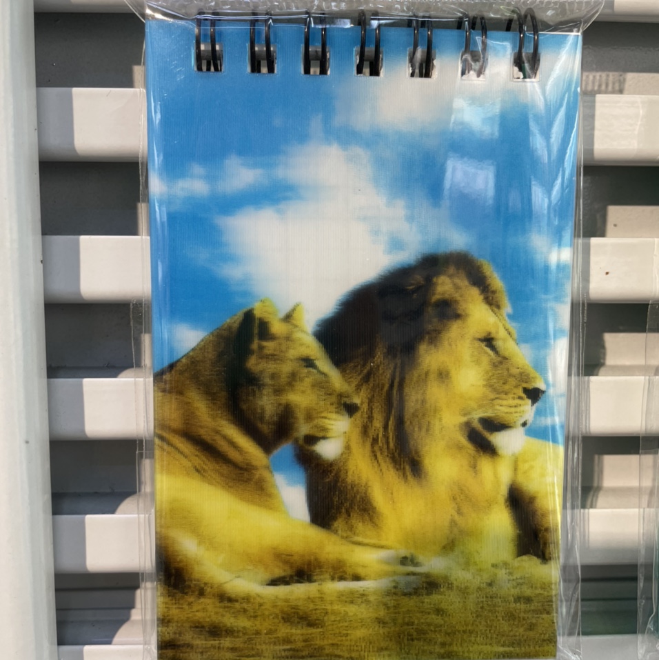 Lion coil book
