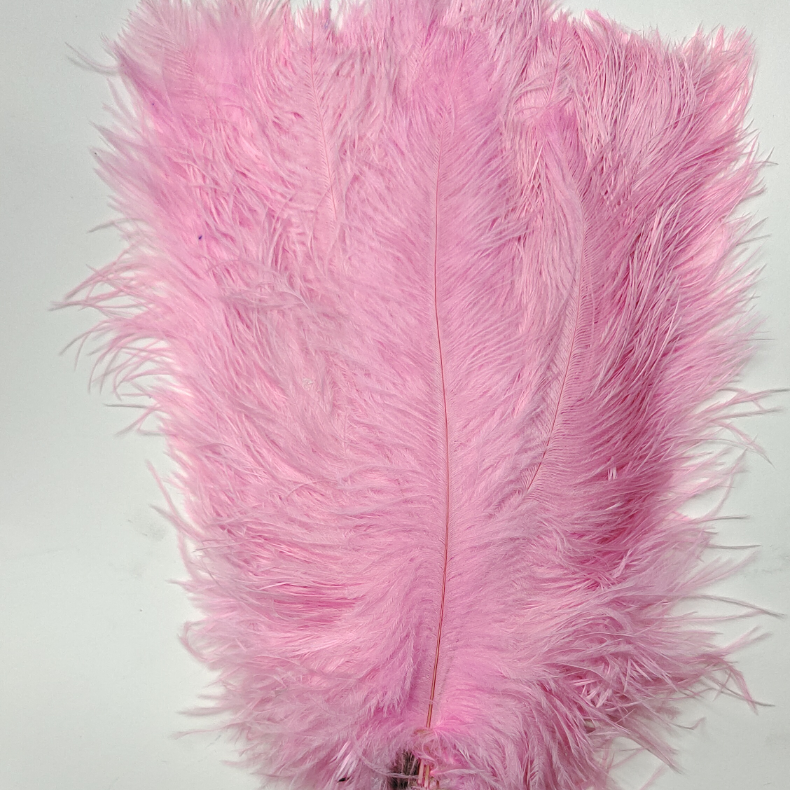 Ostrich feathers 50-55 cm pink