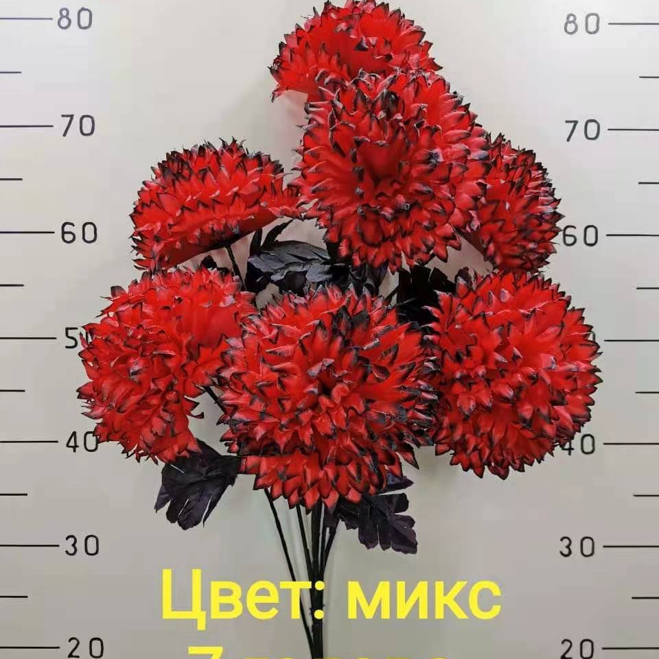 JY20-135