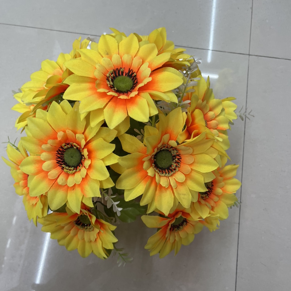 Thirteen sunflowers