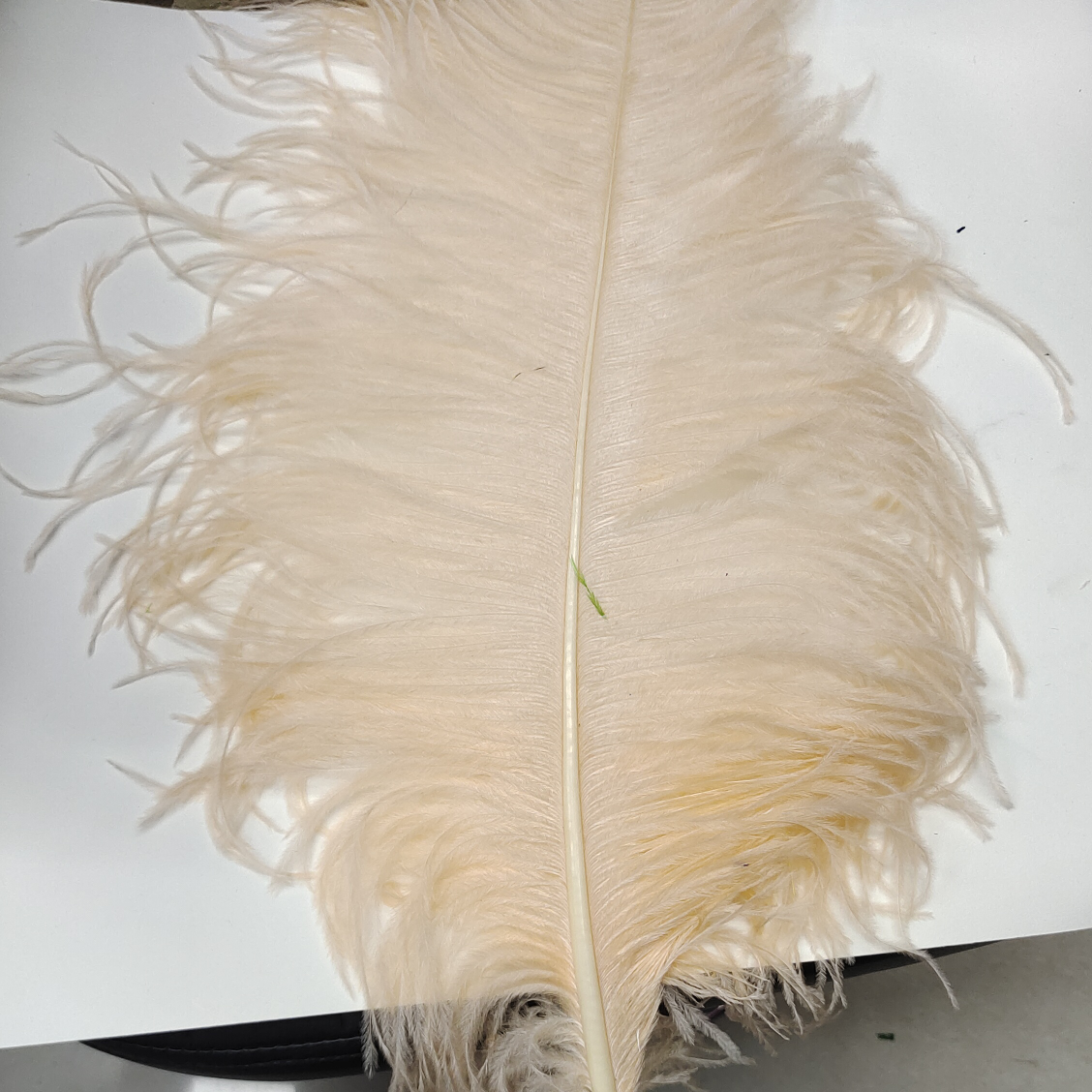 Ostrich feathers 50-55 cm snow bud color
