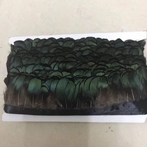 Pheasant green piece of cloth