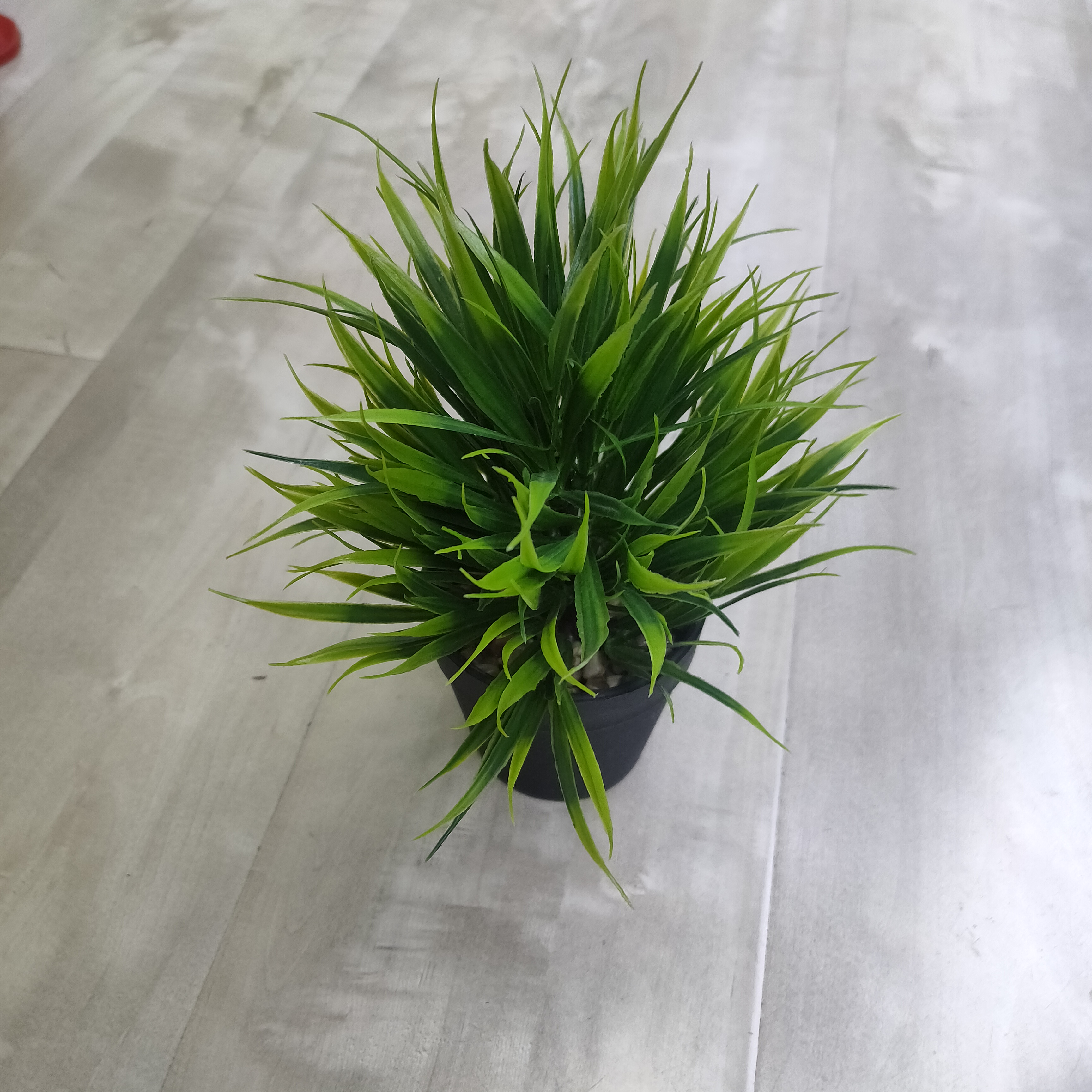 Simulated potted plants: exquisite and delicate perfect natural display of home decoration thumbnail