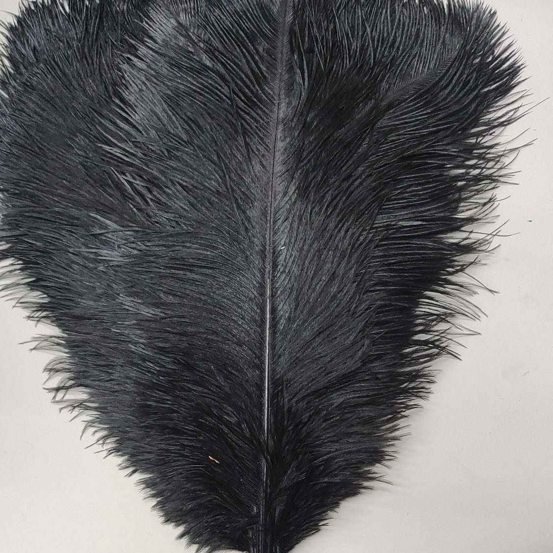Ostrich feathers 60-65 cm black