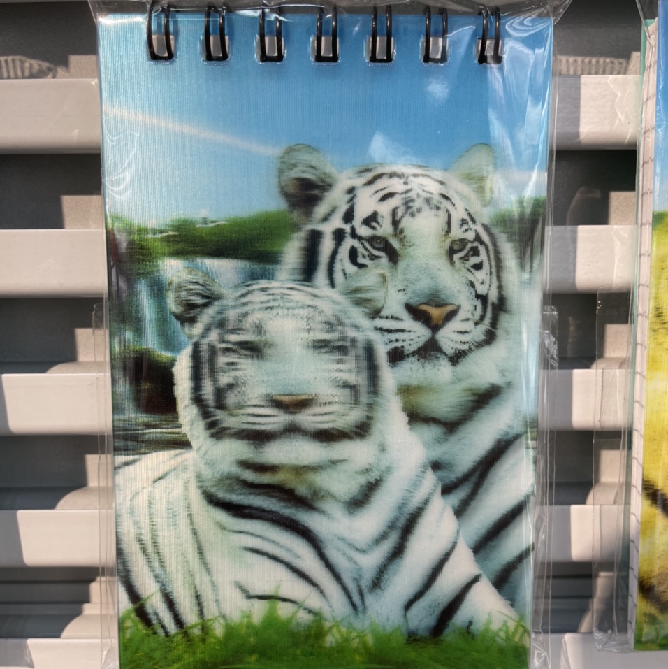 Tiger coil