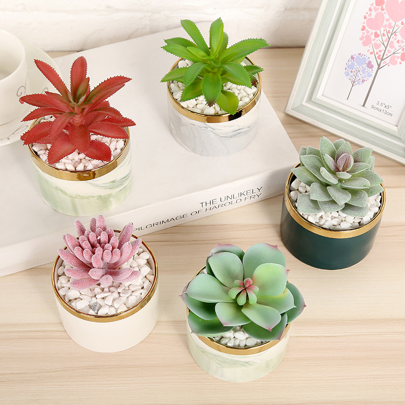 Simulated succulent plant potted bonsai Specification image