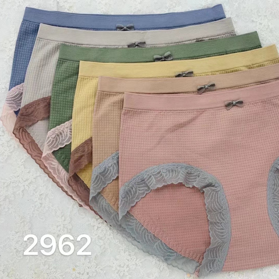 2962 Seamless underwear
