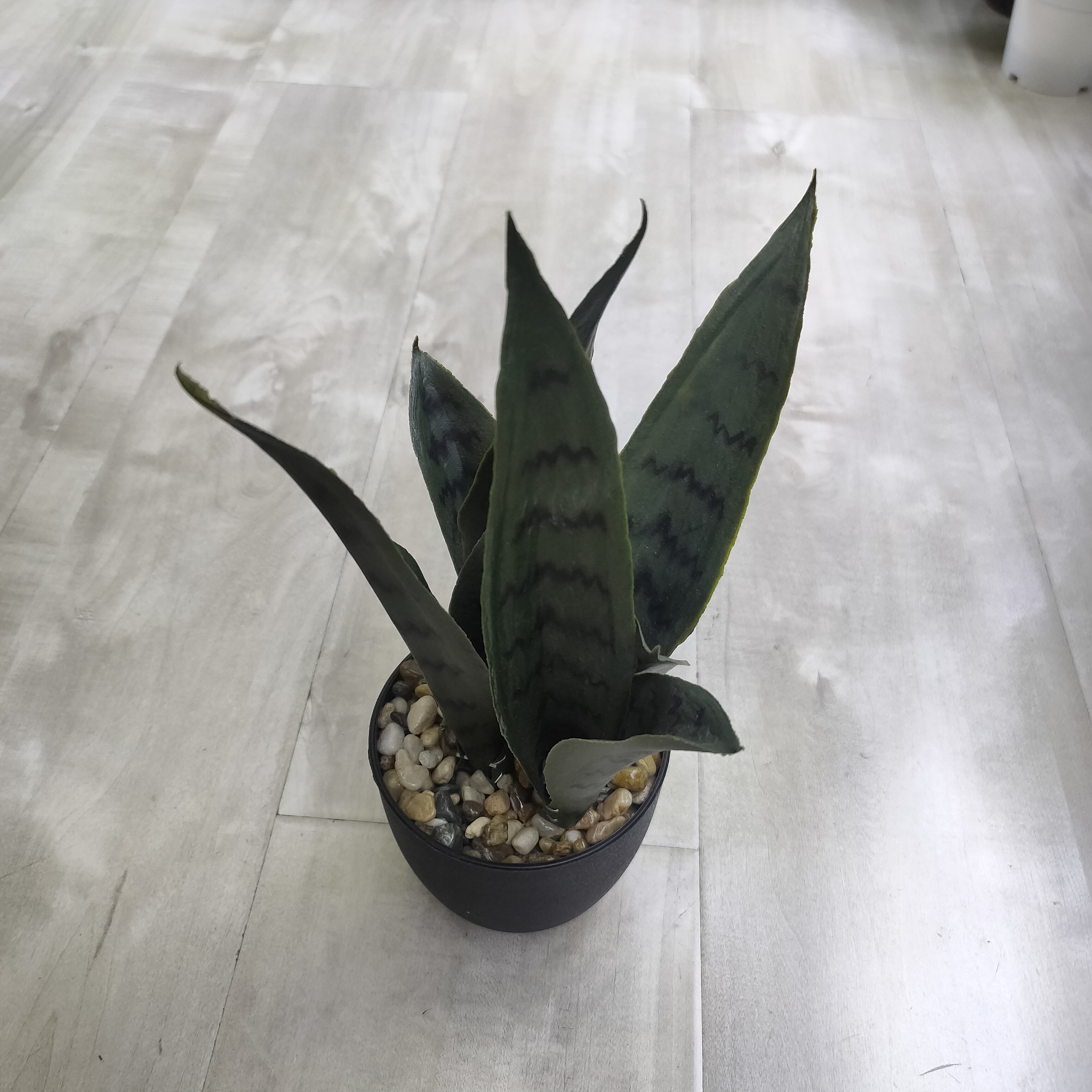 Simulate potted plants to decorate home environment and create artwork