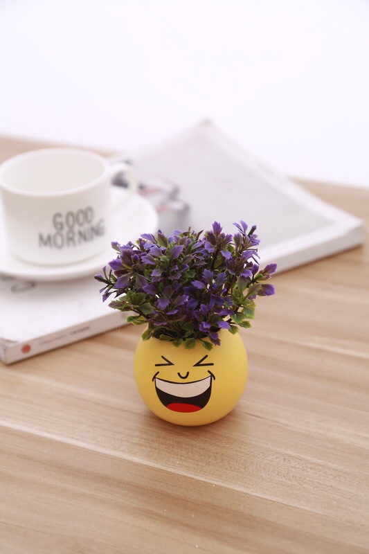 Nueva serie de dibujos animados smiley face small bottle set Item Picture