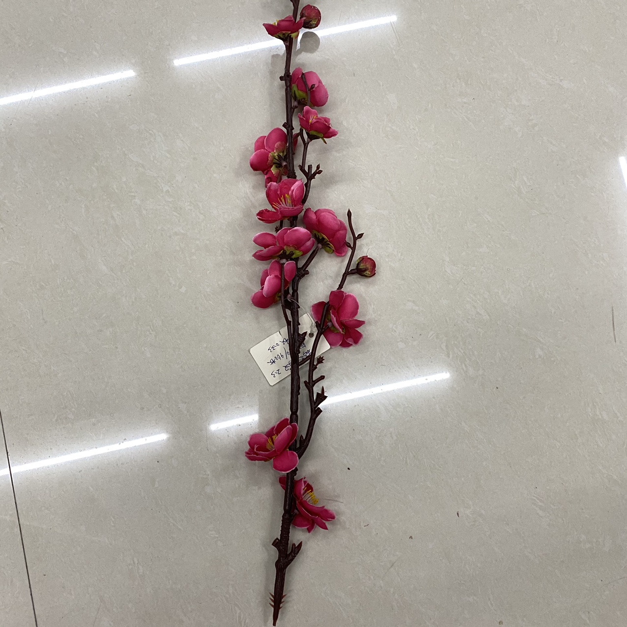 Tree fork big red wintersweet