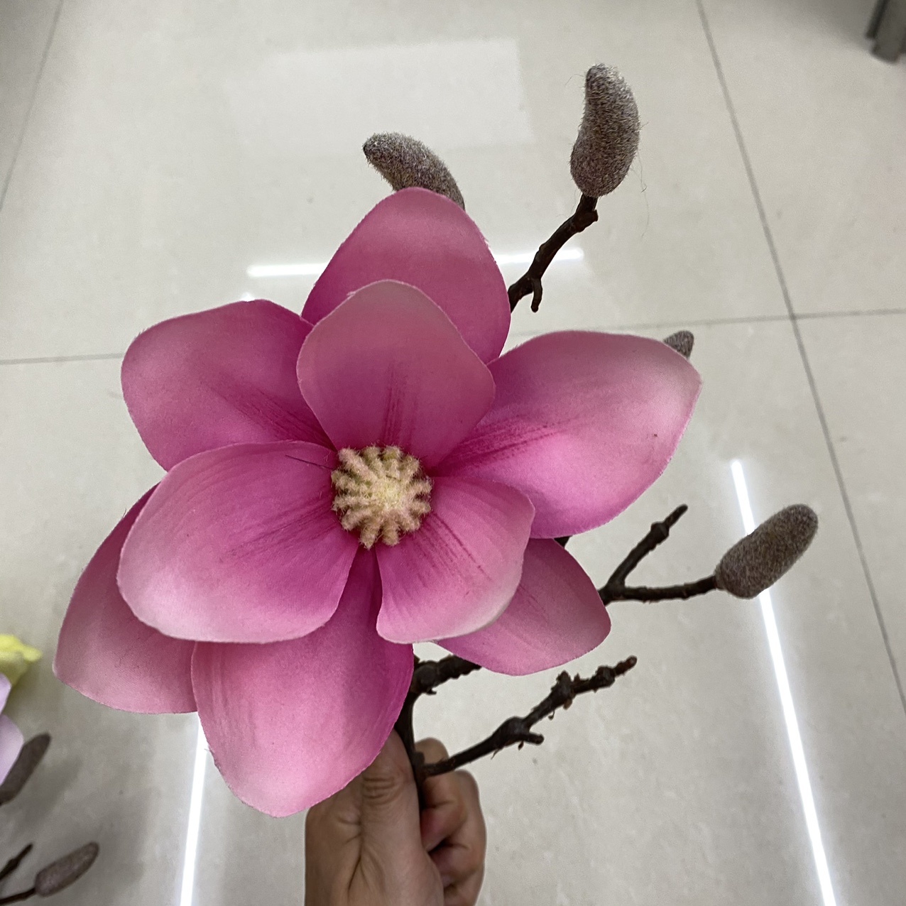 Pink orchid