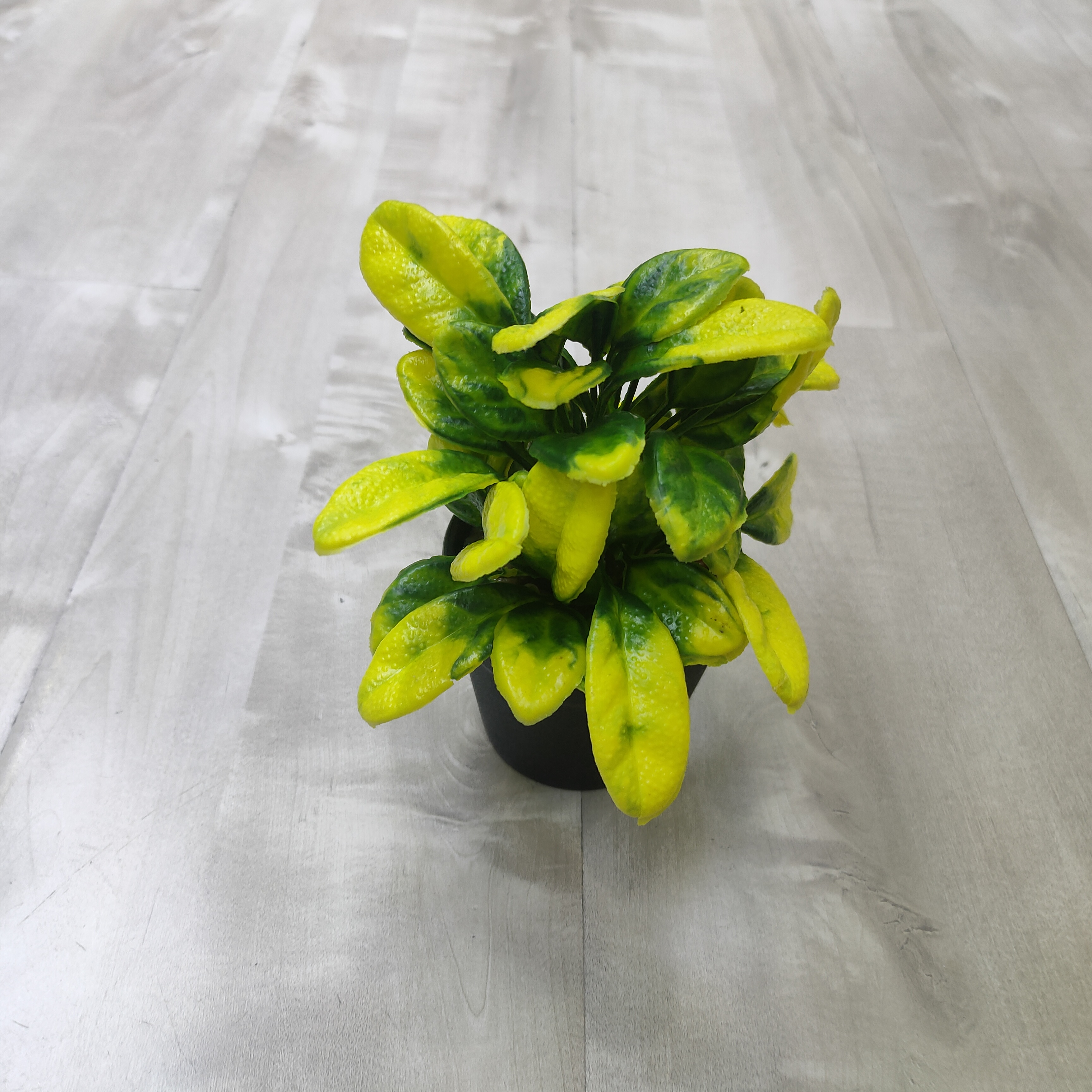 Simulate potted plants to create a natural home environment manufacturers direct sales simulation plants
