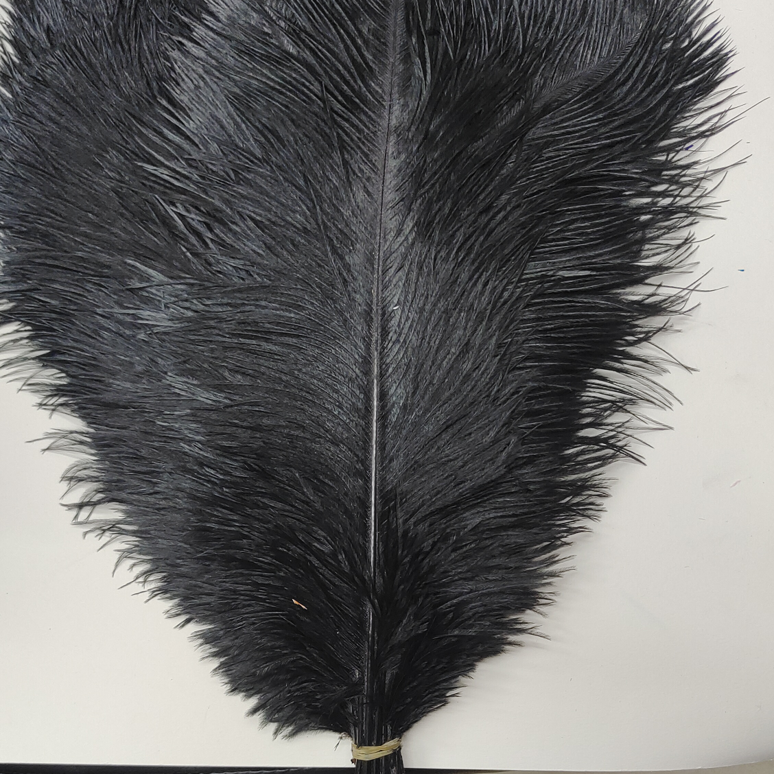 Ostrich feathers 55-60 cm black