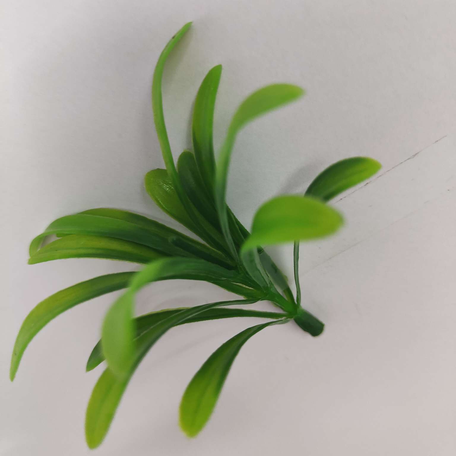 Artificial green plants, artificial plant ornaments, plastic aquatic plants, artificial garden decorations 345 Application Scenario