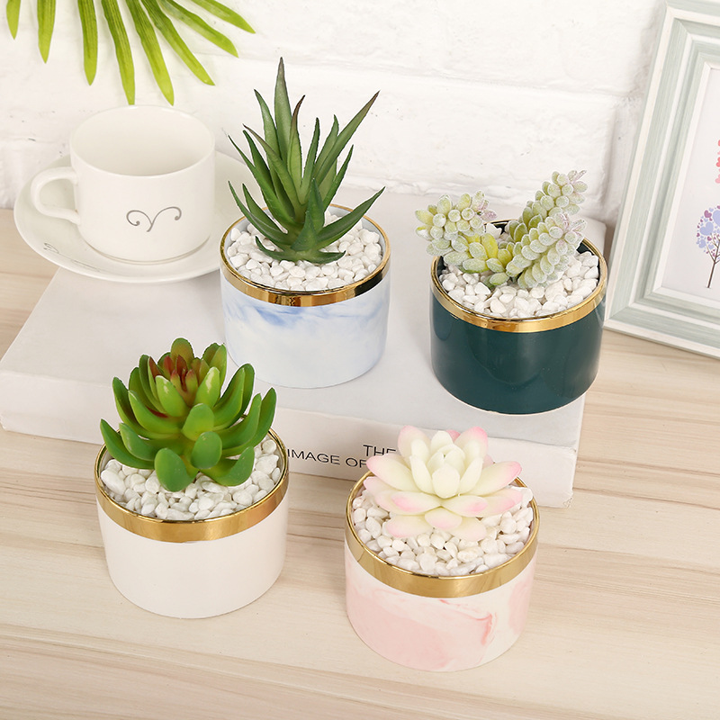 Simulated succulent plant potted bonsai