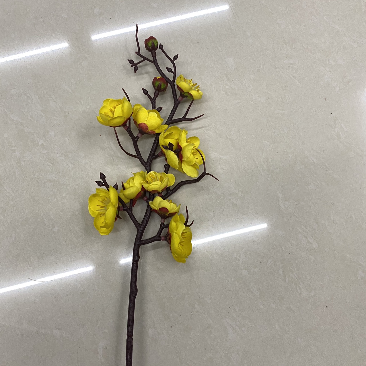 Small wintersweet yellow trumpet thumbnail