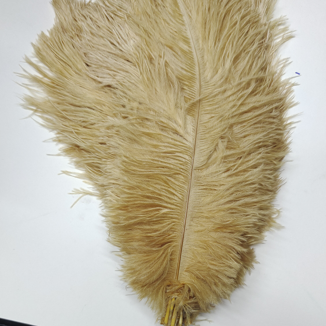 Ostrich feathers 55-60 cm khaki