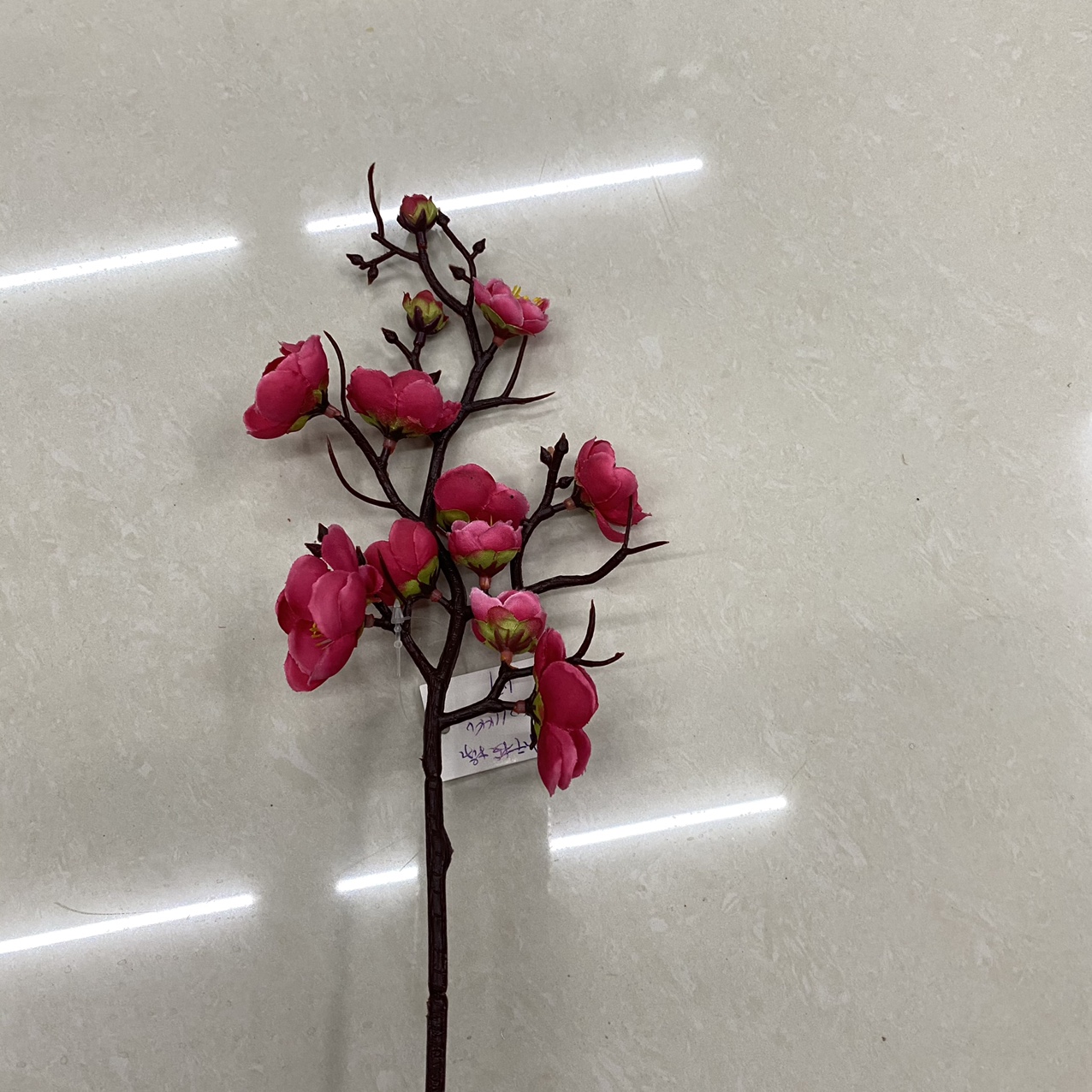 The little wintersweet is red