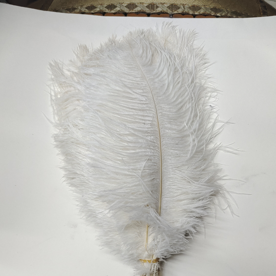 Ostrich feathers 55-60 cm white