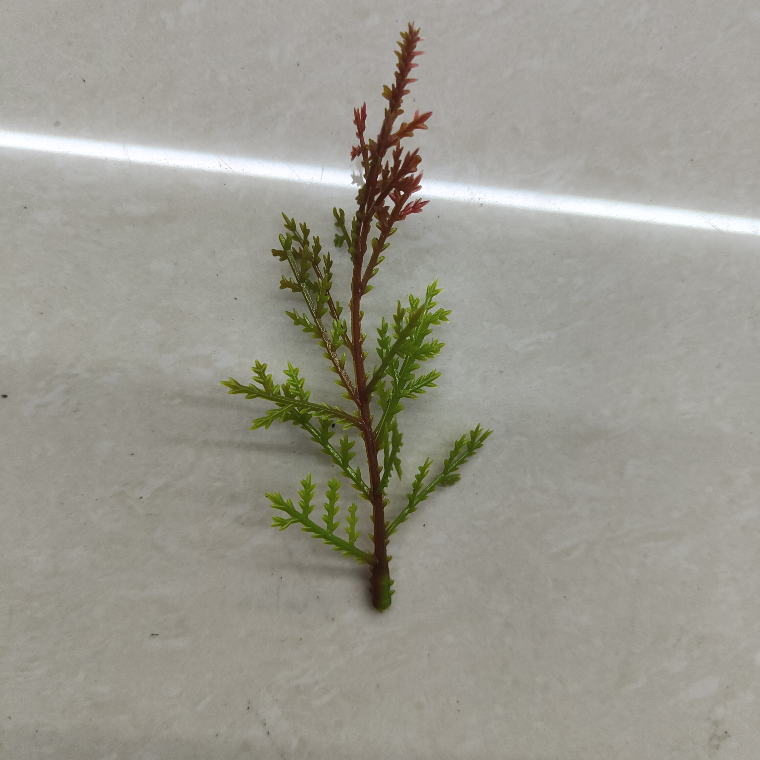 Simulated green plants, simulated plant ornaments, plastic aquatic plants, simulated garden decorations, 113