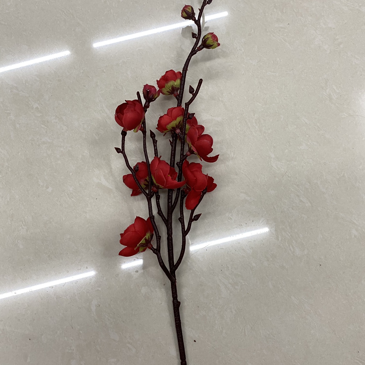 Red small dry branch wintersweet