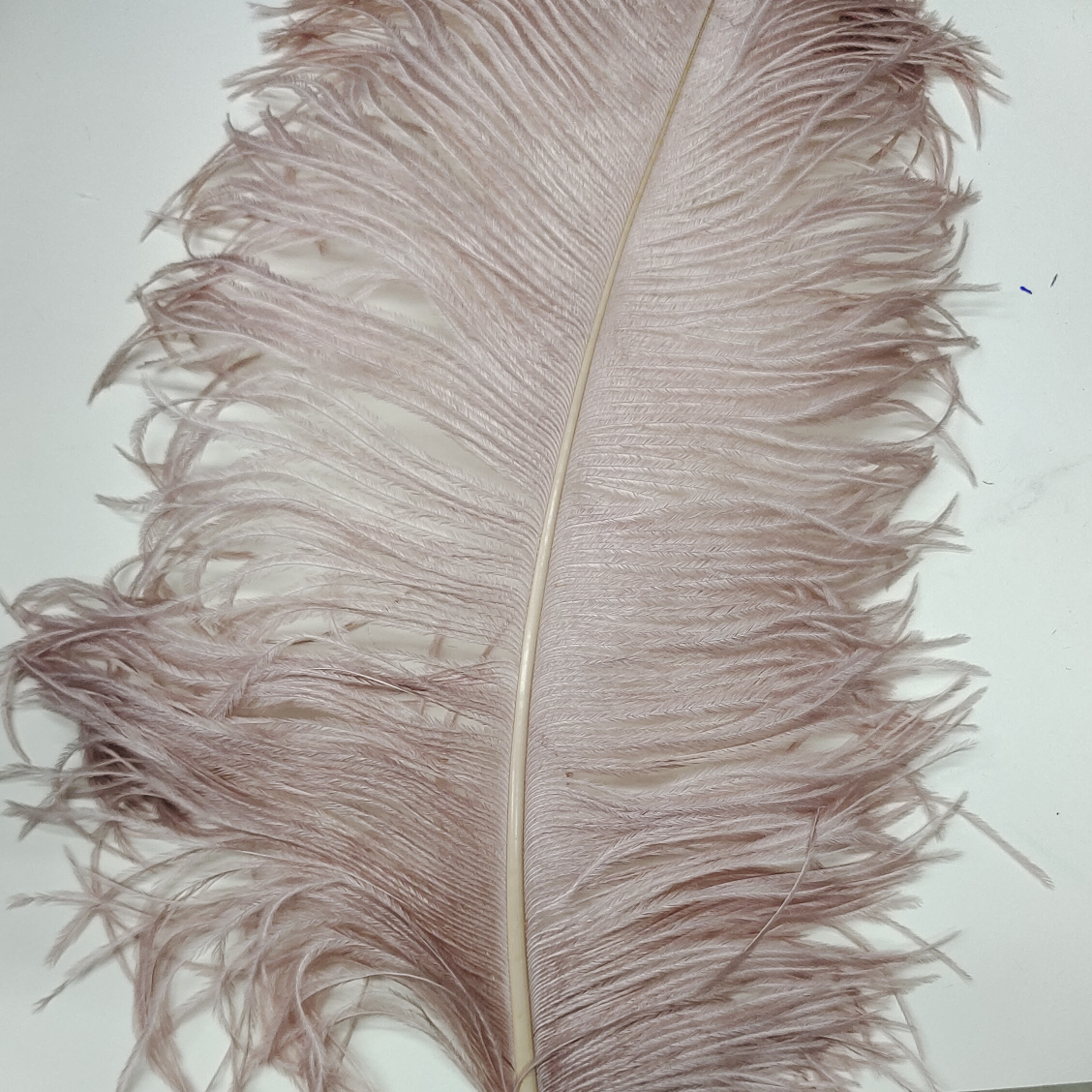Ostrich feathers 55-60 cm flesh pink