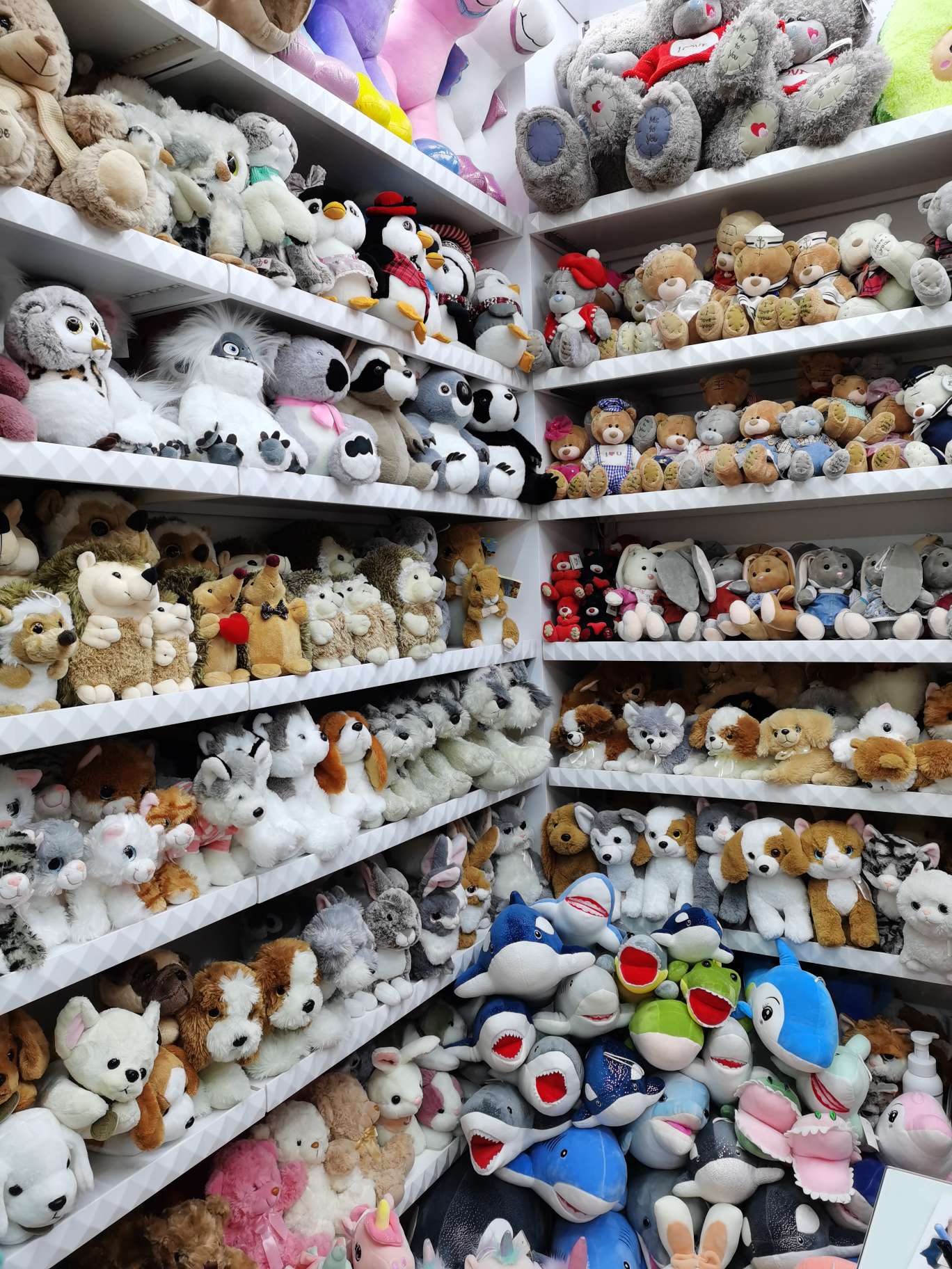 Dreamy plush toy describe pic - 1