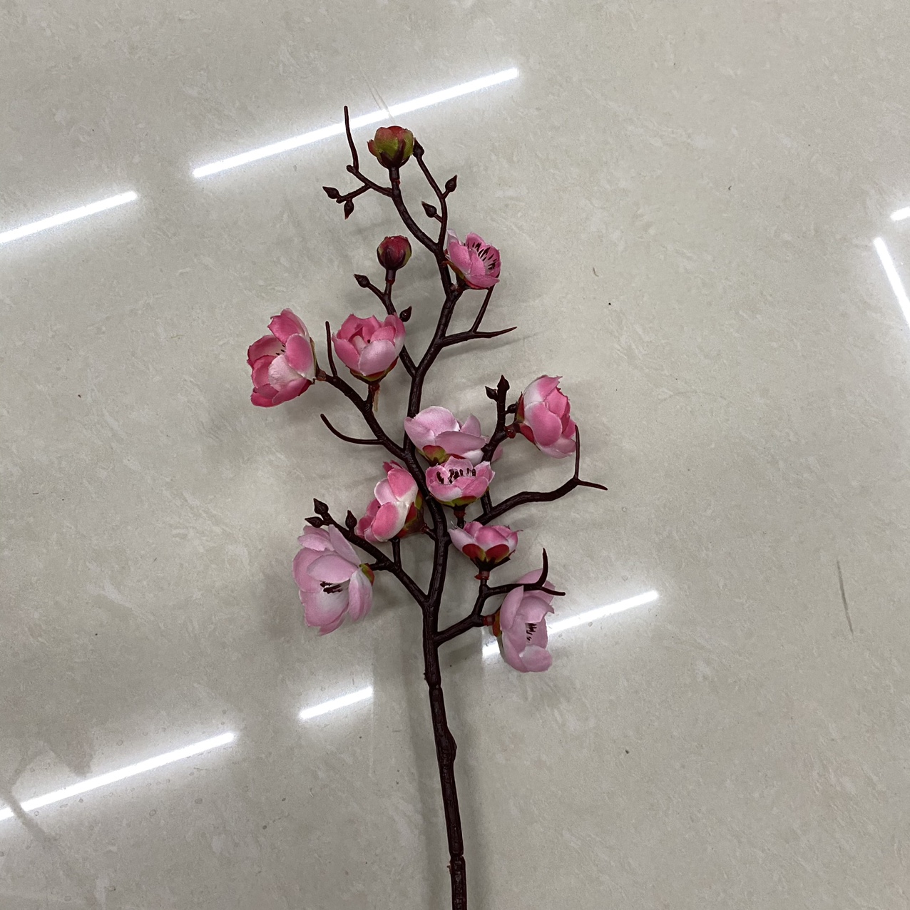 Small plum pink trumpet thumbnail
