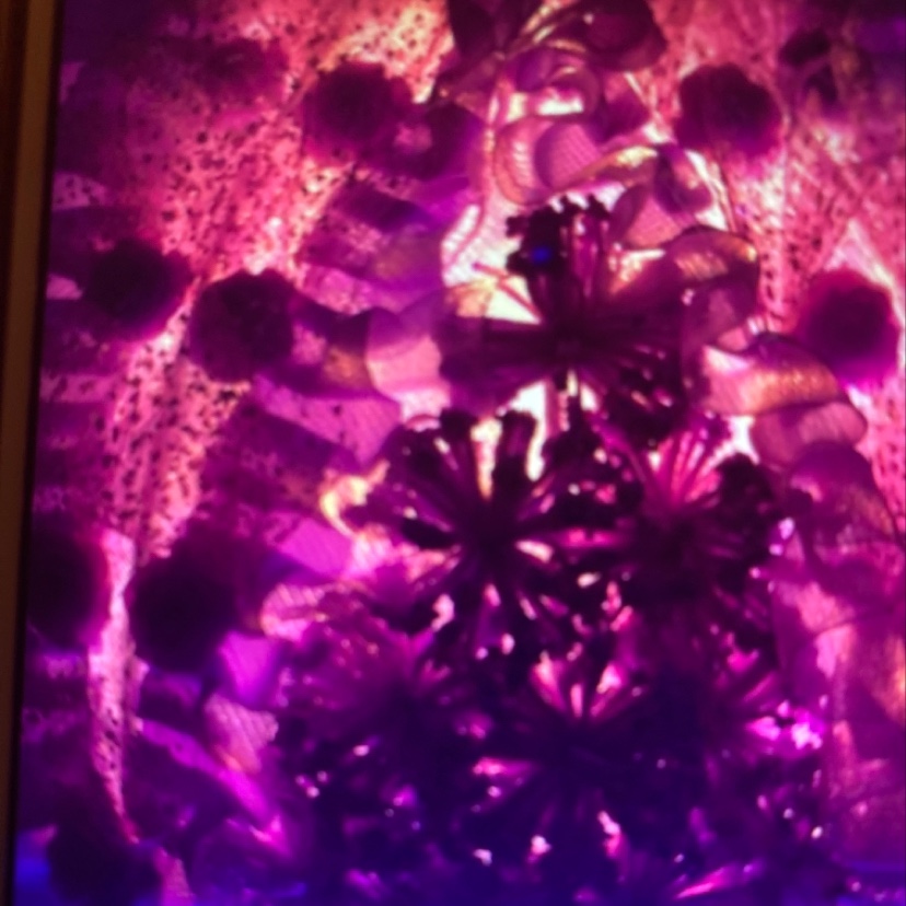 Xiangxun Lamp 5934 Valentine's Day Birthday gift for girlfriend, best friend, girl's wife, lover, newlyweds, rose scented lamp details Picture