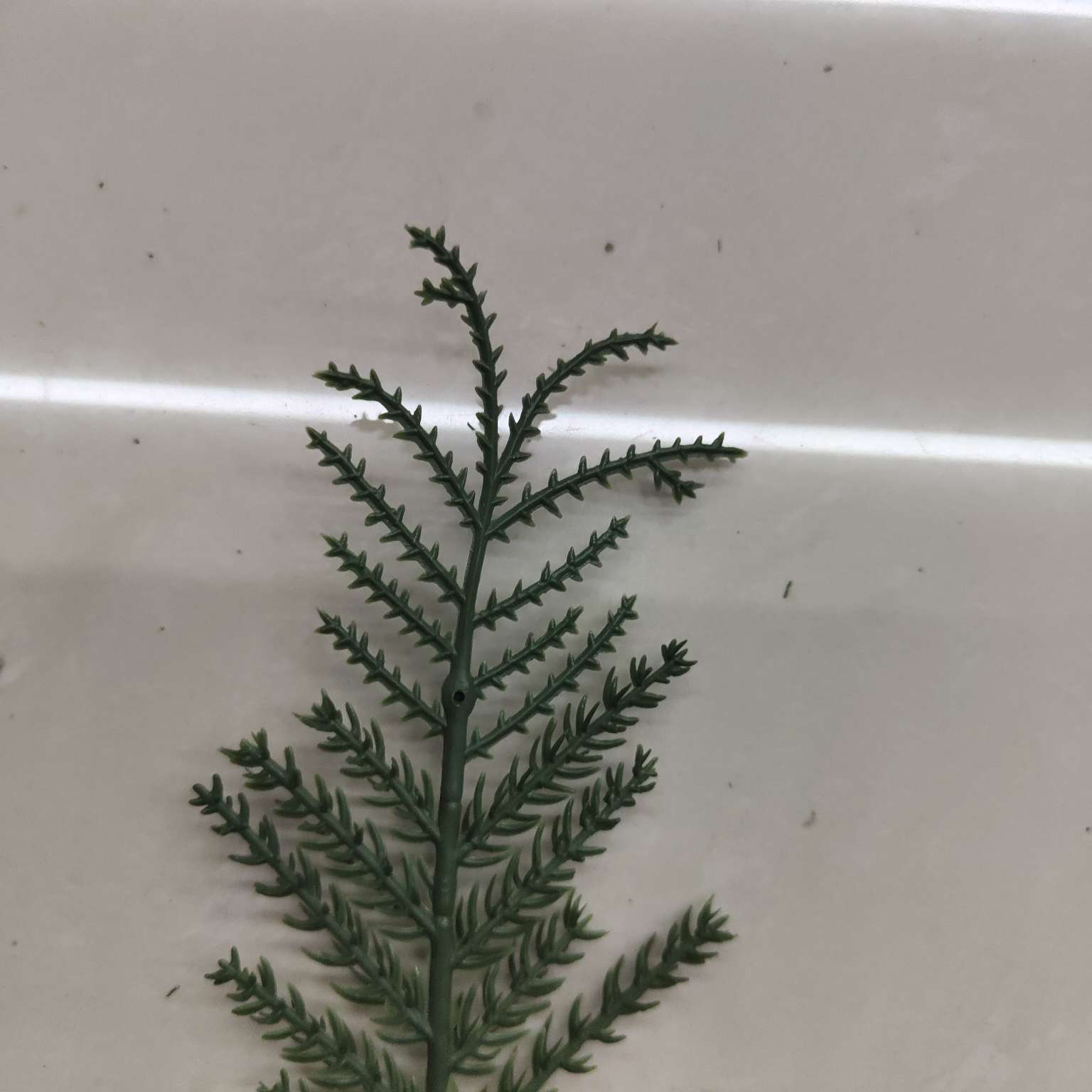 Simulated green plants, simulated plant ornaments, plastic aquatic plants, simulated garden decorations 678 details Picture