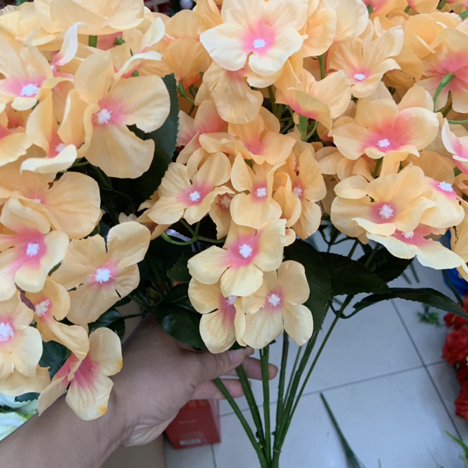 أزهار مستوحاة من أزهار الأوركيد والأوركيد