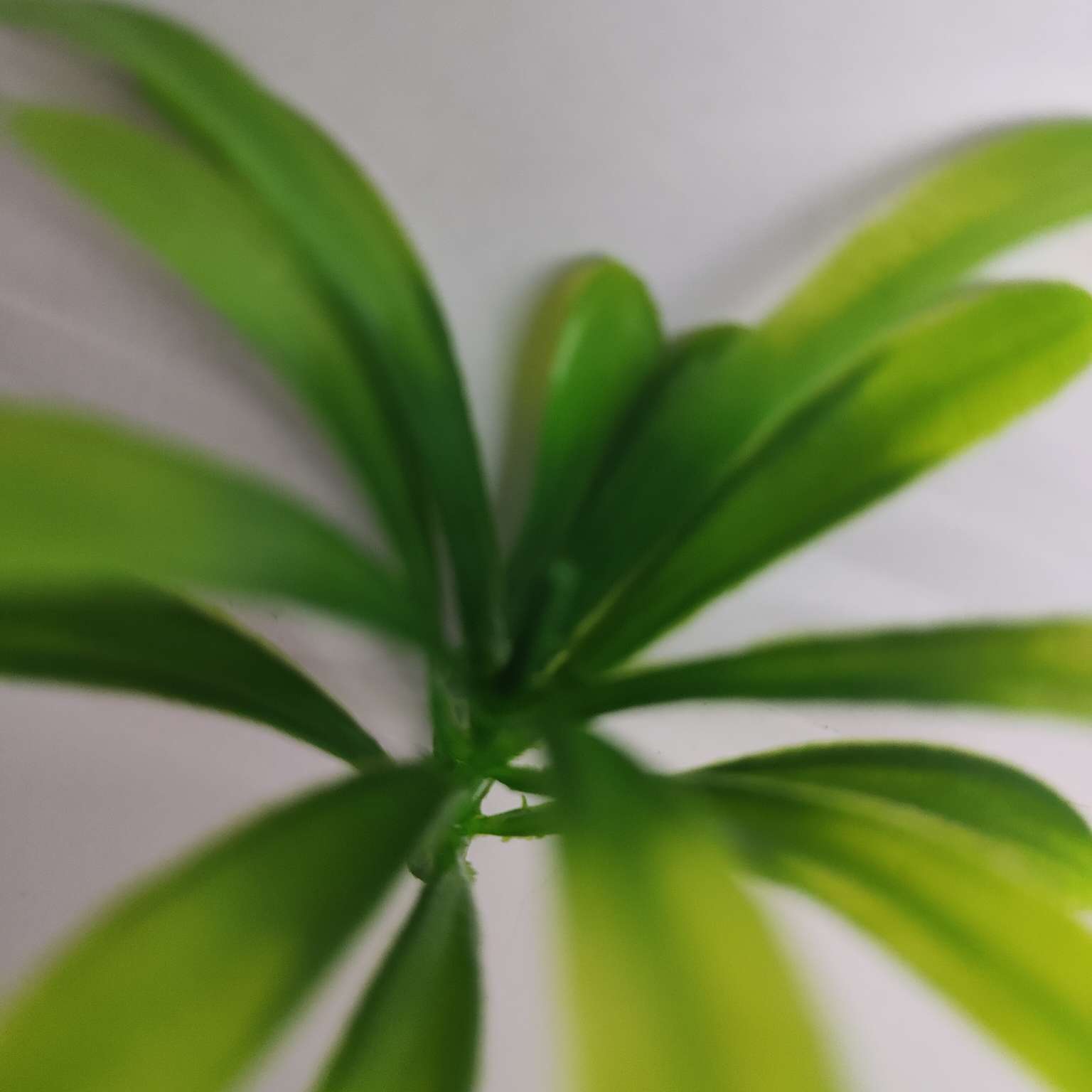 Artificial green plants, artificial plant ornaments, plastic aquatic plants, artificial garden decorations 345 Item Picture