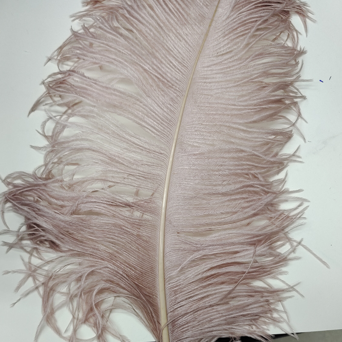 Ostrich feathers 60-65 cm flesh pink