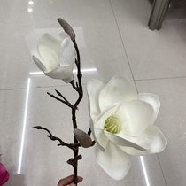 White orchid