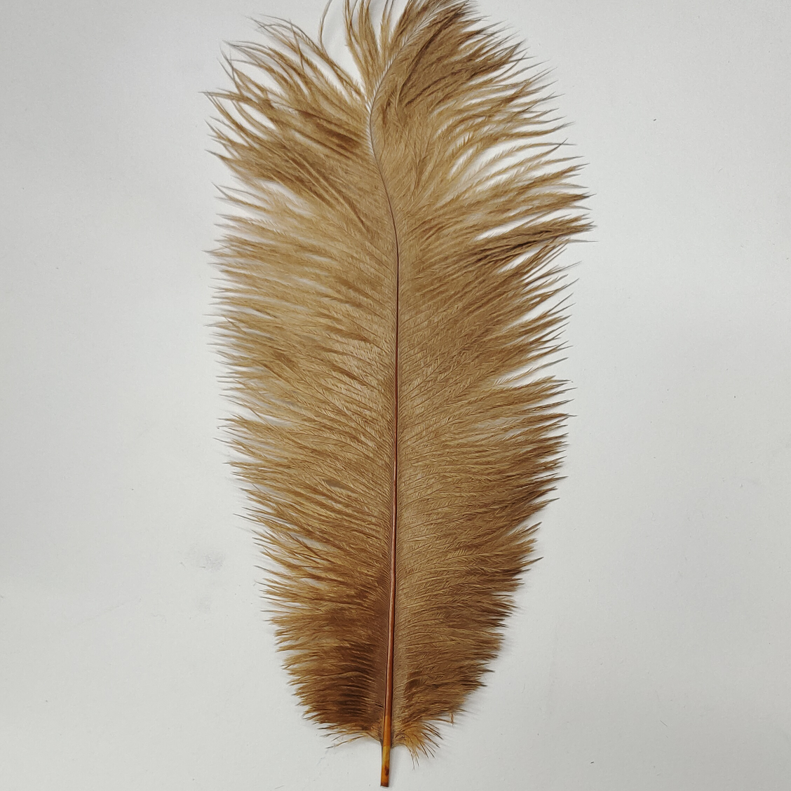 Ostrich feathers 50-55 cm brown