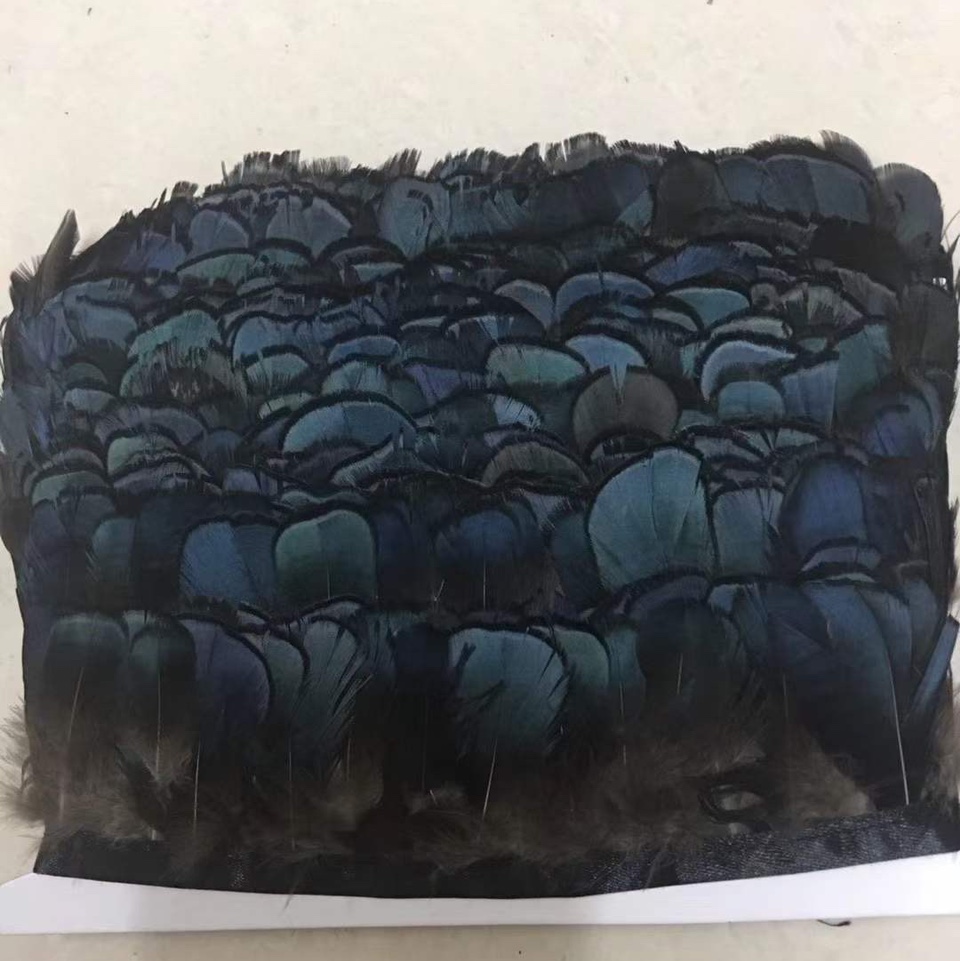 Pheasant blue ribbon