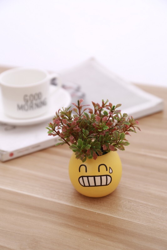 Nueva serie de dibujos animados smiley face small bottle set Application Scenario