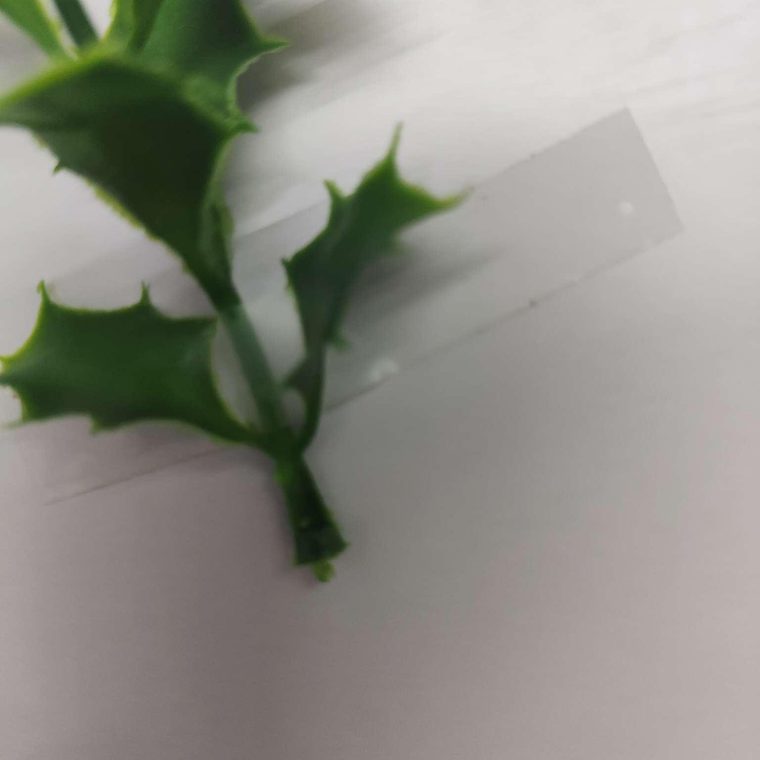 Simulated green plants, simulated plant ornaments, plastic aquatic plants, simulated garden decorations 090 details Picture