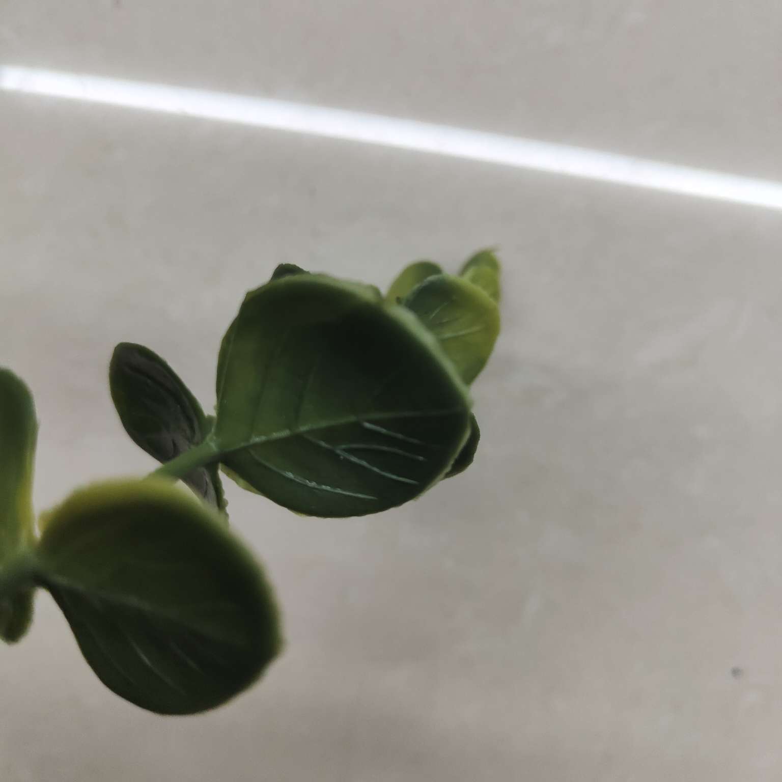 圣诞装饰品实物图