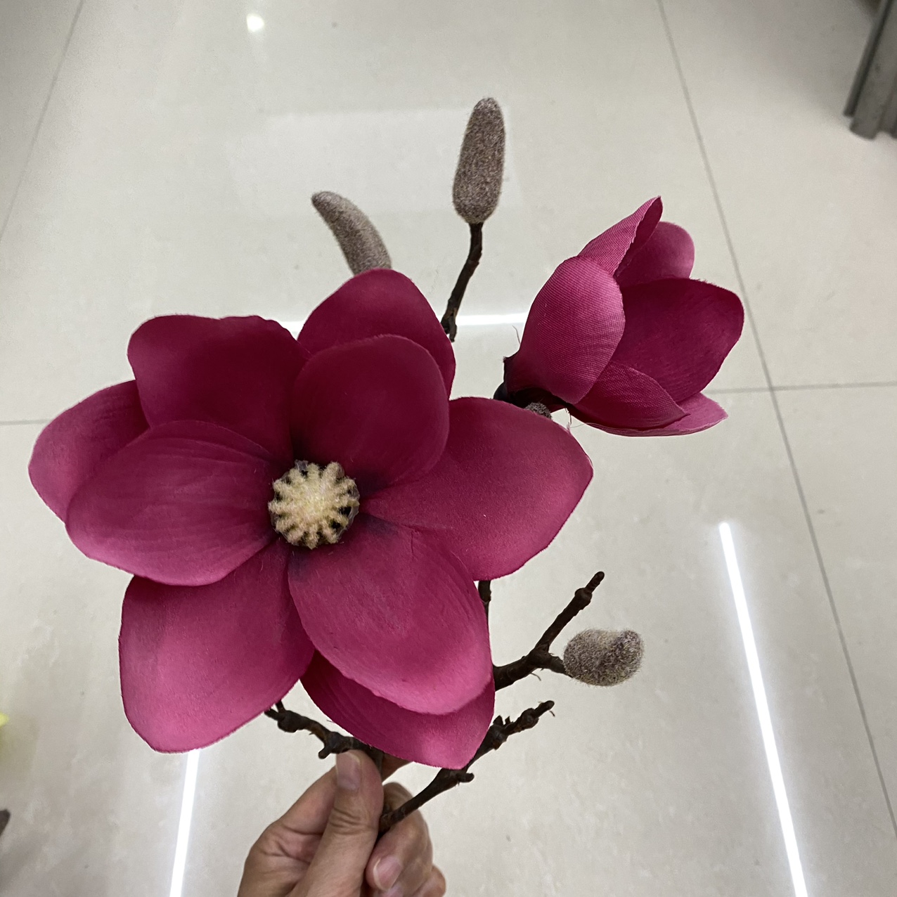 Orchid rose