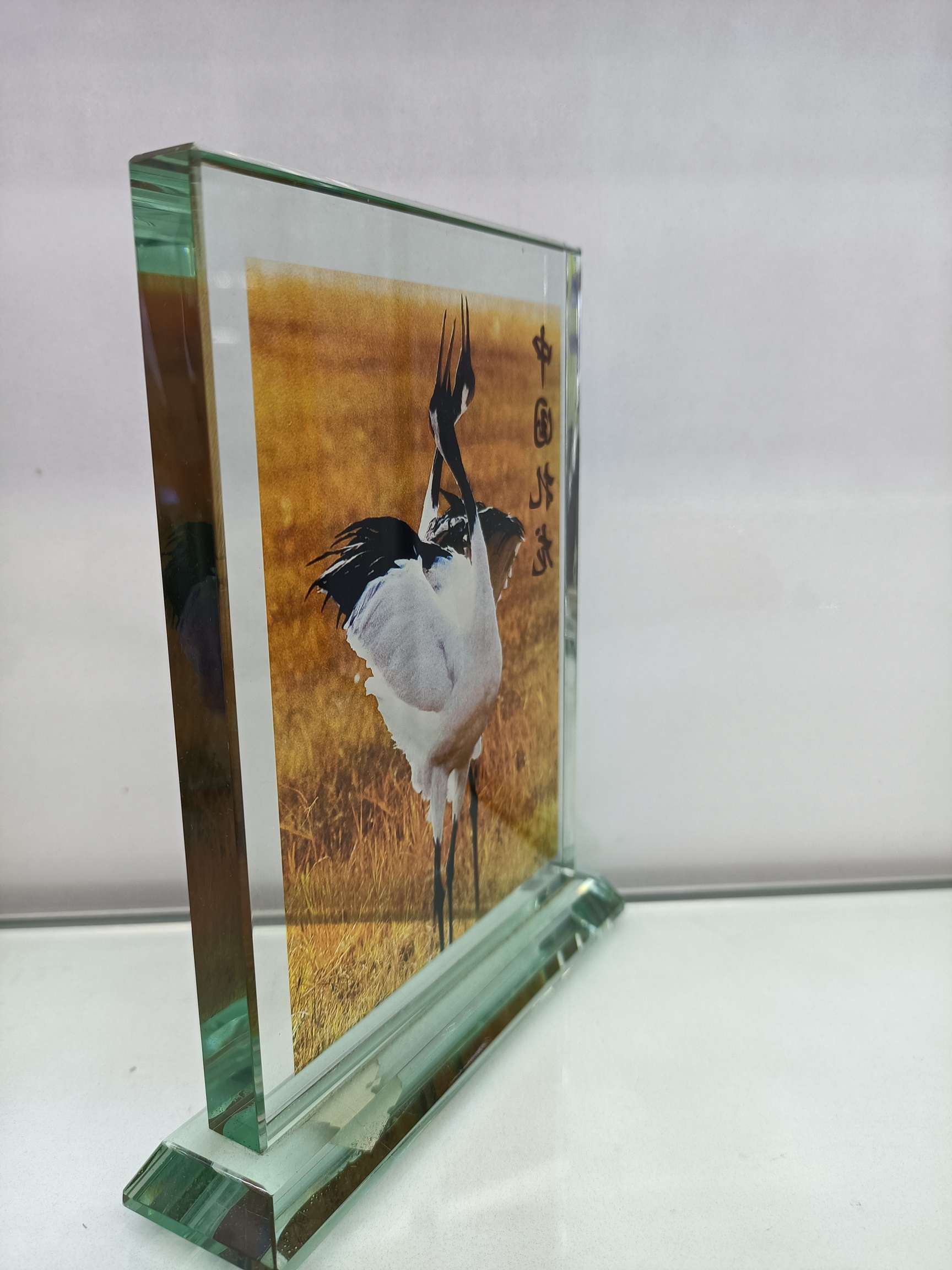 ثلاجة جليدية بلورية ملونة Specification image