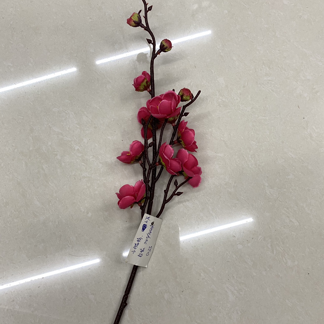 The small wintersweet is red
