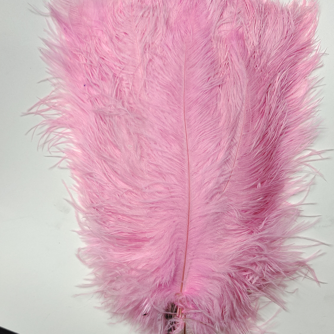 Ostrich feathers 60-65 cm pink